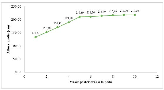 Comportamiento de la altura promedio posterior a la poda.