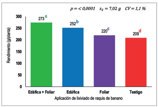 Rendimiento de lechuga