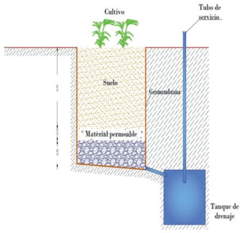 Esquema tipo del lisímetro de drenaje utilizado