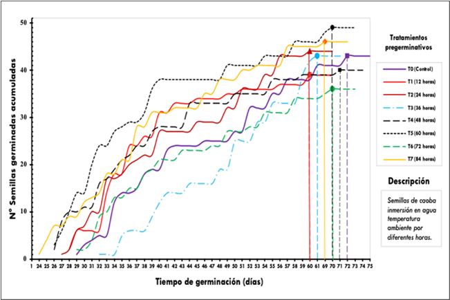 Sigmoide de germinación de las semillas de S. macrophylla 
