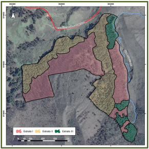 Área afectada por estratos. Fuente: elaboración propia