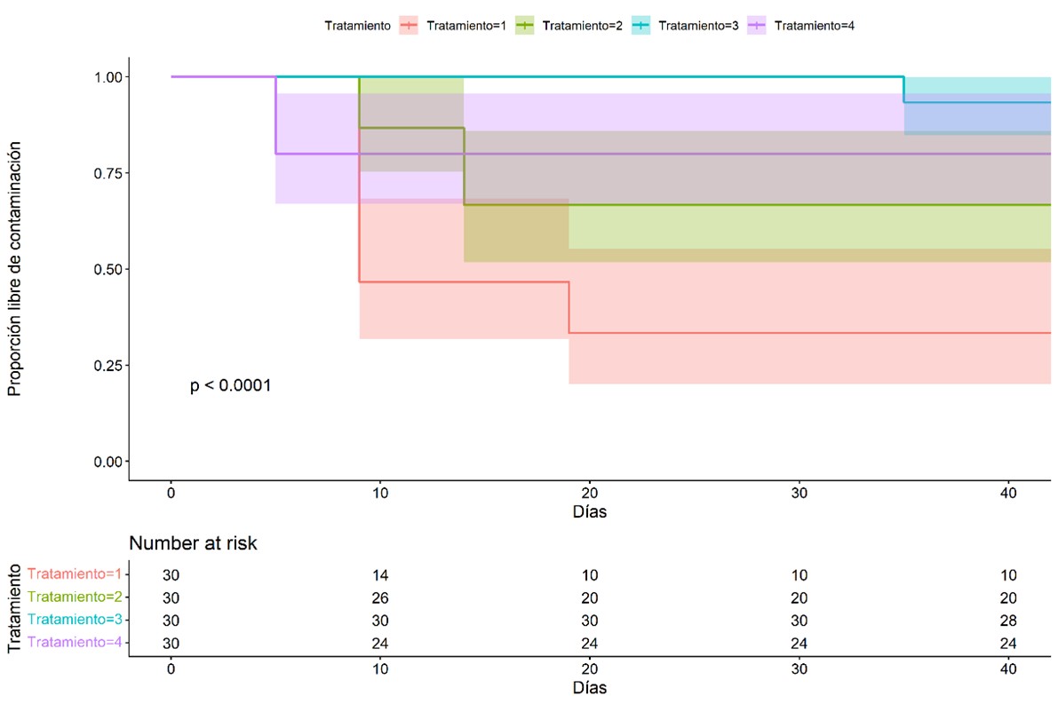  Inducción de estructuras callogénicas